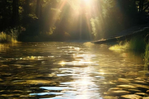 Виды потребителей природной питьевой воды