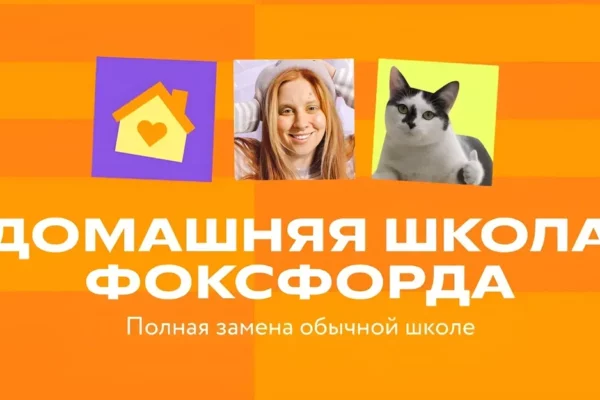 Недостатки традиционной школы