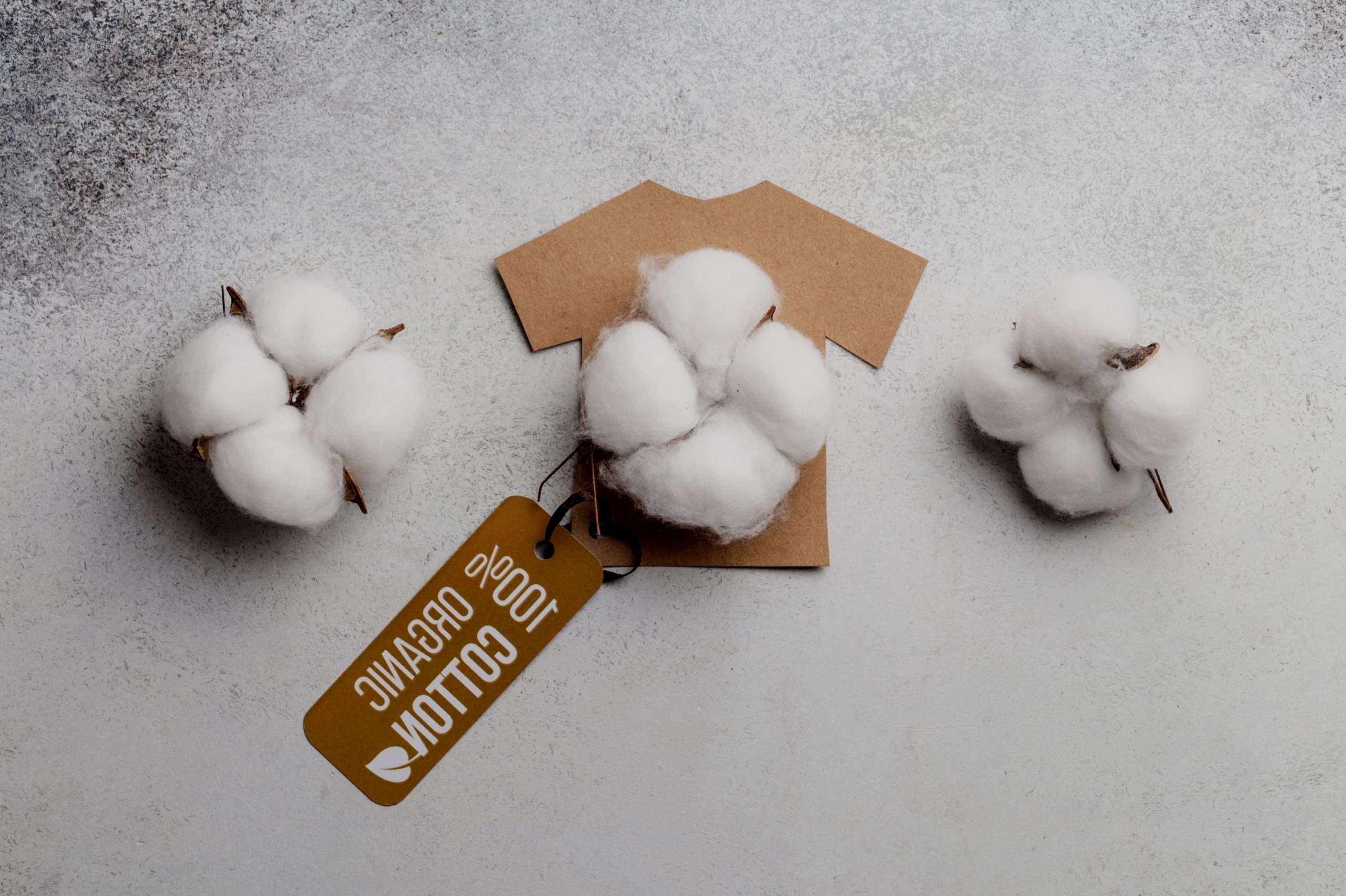 Лучшие промокоды и скидки на эко-одежду из органического хлопка