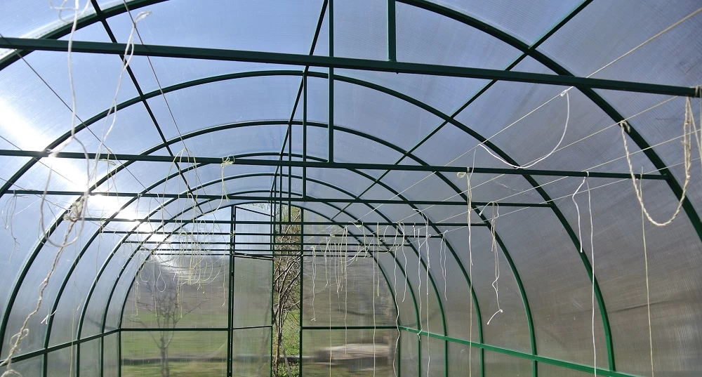 Как вырастить овощи даже в холодном климате