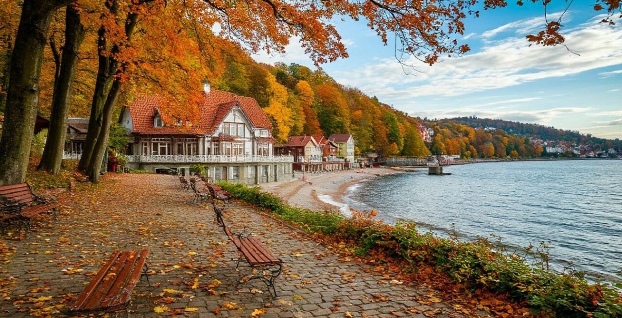 Отель в Светлогорске: атмосфера уюта и морского покоя